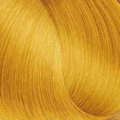 EXPERTIA HAIR COLOR 100ML Beauty World Plus